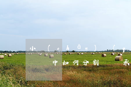 小產(chǎn)權(quán)房在離婚糾紛中如何分割與繼承