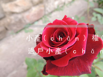 小產(chǎn)權(quán)房屋如何過戶(小產(chǎn)權(quán)的房子如何過戶手續(xù))