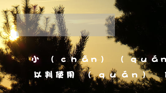 小產(chǎn)權(quán)房法院可以判使用權(quán)嗎(什么情況下法院判房產(chǎn)使用權(quán))