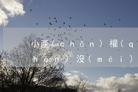 小產(chǎn)權(quán)房產(chǎn)沒(méi)有房產(chǎn)證嗎（小產(chǎn)權(quán)房私下買賣違法嗎）