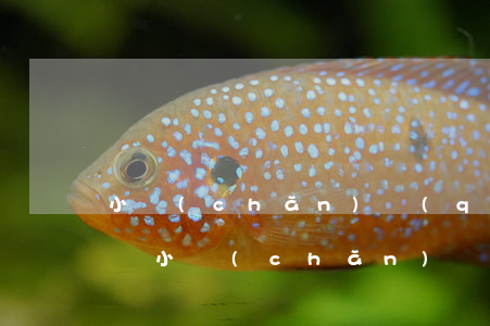 小產(chǎn)權(quán)房能買賣嗎(小產(chǎn)權(quán)房要不要賣掉)