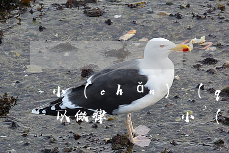 小產(chǎn)權(quán)房買賣可以做律師見證嗎(小產(chǎn)權(quán)房買賣可以做公證嗎?)