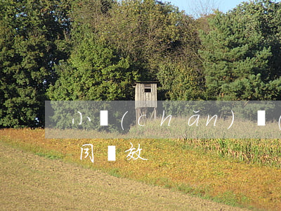 “小產(chǎn)權(quán)房”買賣合同無效