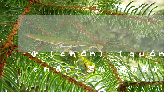 小產(chǎn)權(quán)房遺產(chǎn)怎么繼承分割(小產(chǎn)權(quán)房遺產(chǎn)怎么繼承分割)