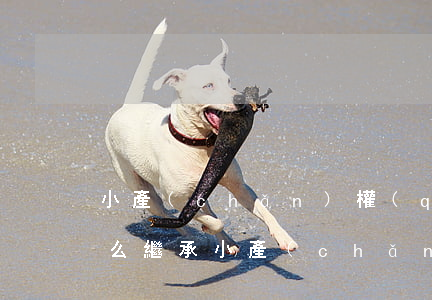 小產(chǎn)權(quán)的房子怎么繼承(小產(chǎn)權(quán)的房子怎么繼承居住權(quán))
