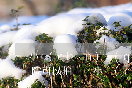小產(chǎn)權(quán)的房子法院可以拍賣嗎(小產(chǎn)權(quán)房能拍買嗎)