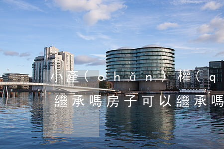 小產(chǎn)權(quán)的房子能繼承嗎(房子可以繼承嗎)