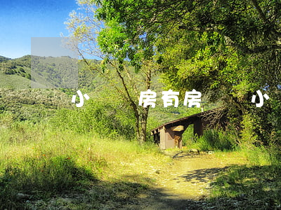 小產權房有房產證(小產權房有房產證嗎?)