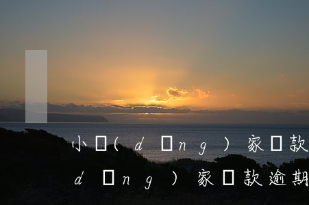 小當(dāng)家貸款逾期怎么算(小當(dāng)家貸款逾期怎么算)