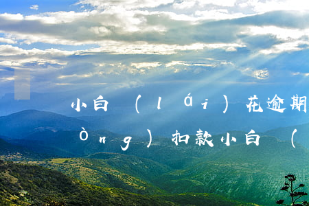小白來(lái)花逾期如何防止自動(dòng)扣款(小白來(lái)花官網(wǎng))