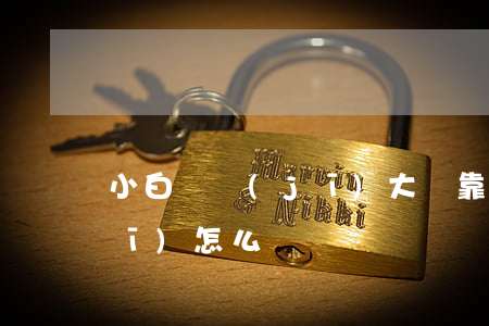 小白裝機(jī)大師靠譜嗎(小白裝機(jī)怎么樣)