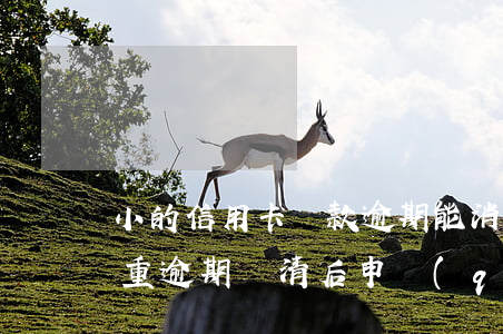 小的信用卡還款逾期能消除嗎(嚴(yán)重逾期還清后申請(qǐng)信用卡)