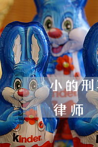 小的刑事案件需要请律师吗(刑事案件怎么问律师)