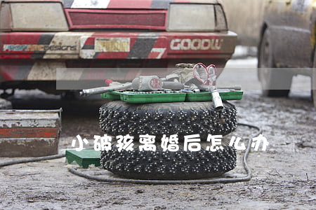 小破孩离婚后怎么办