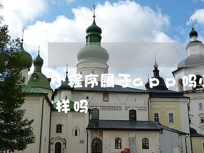 小程序属于app吗(小程序跟app功能一样吗)