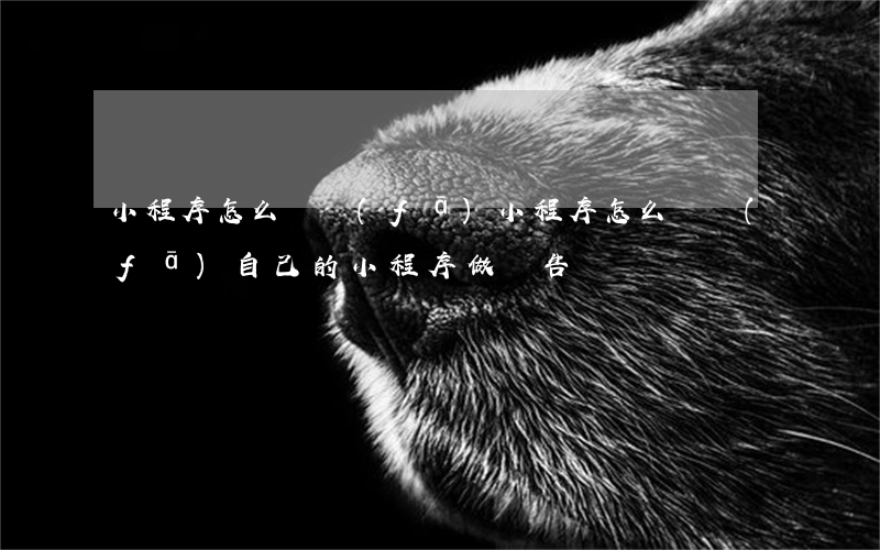 小程序怎么開發(fā)(小程序怎么開發(fā)自己的小程序做廣告)