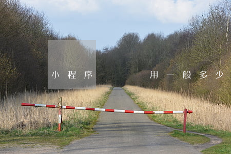 小程序維護費用一般多少錢