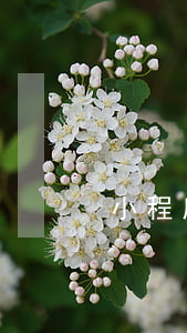 小程序起訴離婚怎么弄(如何起訴離婚程序)