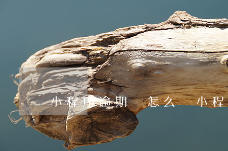 小程序逾期會怎么樣(小程序過期是什么意思)