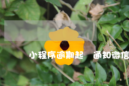 小程序逾期起訴通知(微信小程序判決書)