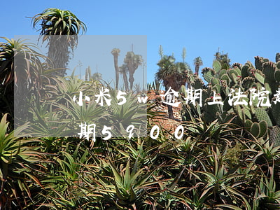 小米5w逾期上法院起訴怎么辦(小米欠款逾期5900)