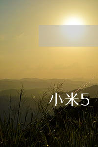 小米5萬元逾期被起訴了(小米起訴最新)