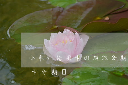 小米9信用卡逾期能分期(小米之家可以信用卡分期嗎)