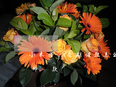 小米借唄逾期催款怎么還(借唄逾期催收要全部還款)
