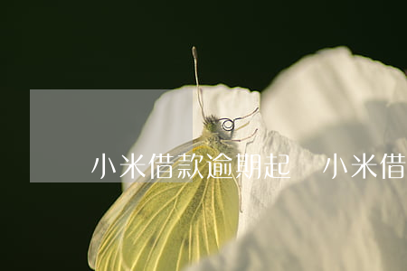 小米借款逾期起訴(小米借款今天逾期)