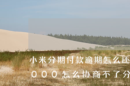 小米分期付款逾期怎么还(小米贷款逾期26000怎么协商不了分期还款)