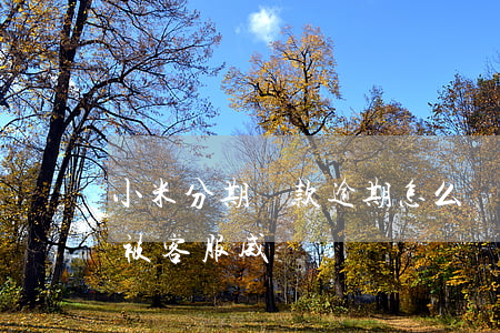 小米分期貸款逾期怎么辦(小米貸款逾期一天被客服威脅)