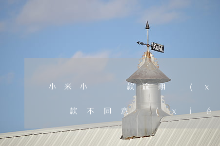小米小額貸款逾期協(xié)商還款(小米貸款不同意協(xié)商)