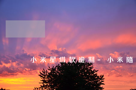 小米星借款逾期-小米隨星借還款失敗