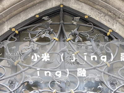 小米經(jīng)融逾期起訴(小米經(jīng)融詐騙)