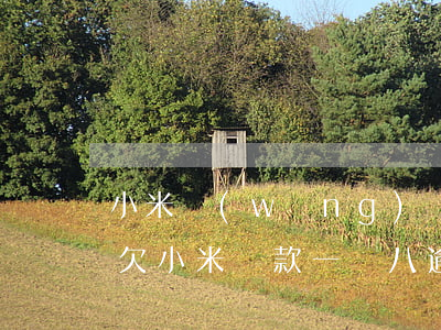 小米網(wǎng)貸欠一萬會來家要錢嗎(欠小米貸款一萬八,逾期兩個月會上門催收嗎)