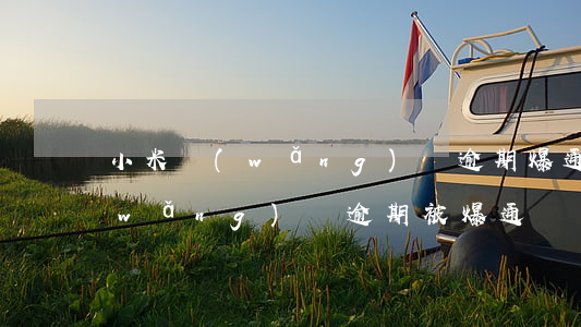 小米網(wǎng)貸逾期爆通訊錄嗎(網(wǎng)貸逾期被爆通訊錄)