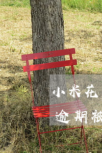 小米花唄逾期會(huì)被起訴(螞蟻花唄逾期被起訴立案還了之后會(huì)有事嗎)