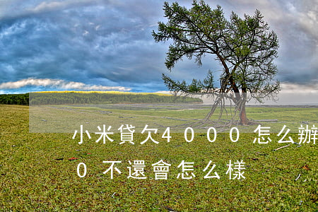 小米貸欠4000怎么辦(借小米貸款4000不還會怎么樣)