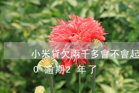 小米貸欠兩千多會不會起訴(小米貸款1500逾期2年了)