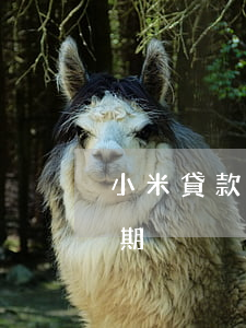 小米貸款7000逾期(小米貸款7000逾期)