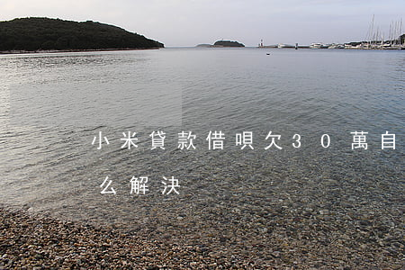 小米貸款借唄欠30萬自救方法(小米借貸怎么解決)
