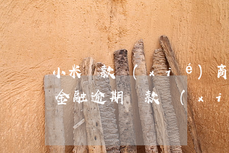 小米貸款協(xié)商三年還款（湖南小米金融逾期還款協(xié)商）