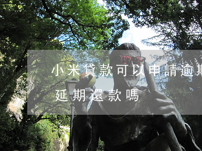 小米貸款可以申請逾期么(小米貸款可以申請延期還款嗎)