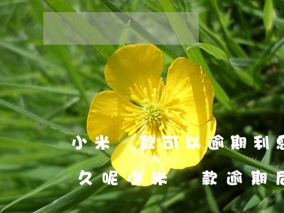 小米貸款可以逾期利息(小米貸款可以逾期多久呢 小米貸款逾期后果)