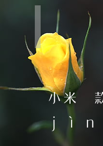 小米貸款年利率27逾期會(huì)進(jìn)入黑名單嘛(小米貸款年利率27逾期會(huì)進(jìn)入黑名單嘛)