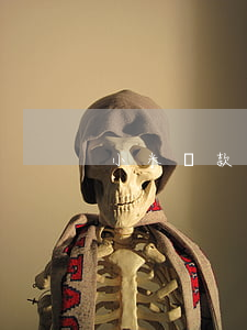 小米貸款欠2千8(小米貸款欠了2年)