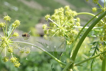 小米貸款欠40萬自救方法(小米貸款催款方式)