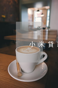 小米貸款欠4萬多(欠小米金融四萬多人民幣)