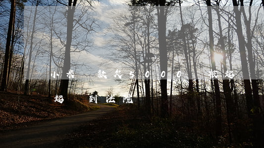 小米貸款欠5000會被起訴嗎(小米貸款會起訴到法院嗎?)