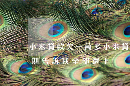 小米貸款欠一萬多(小米貸款欠了5000,逾期,告訴我全部還上)